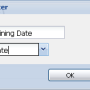 new_template_date_parameter_eng1.png